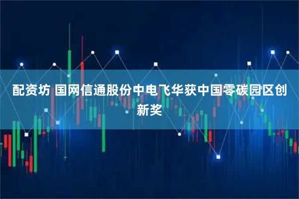 配资坊 国网信通股份中电飞华获中国零碳园区创新奖